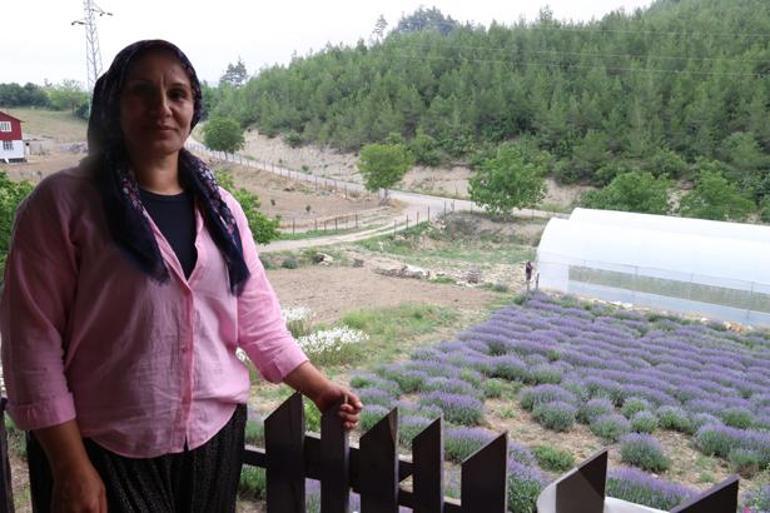 Kimse inanmadı, kadınların azmi başardı Çorak topraklar servet üreten bahçelere dönüştü