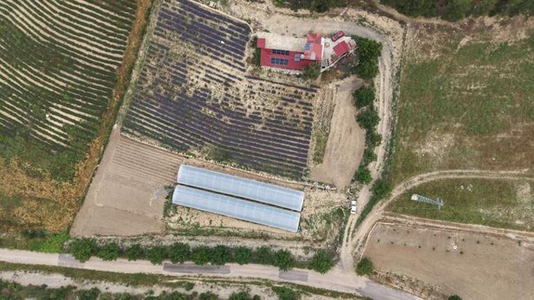 Kimse inanmadı, kadınların azmi başardı Çorak topraklar servet üreten bahçelere dönüştü