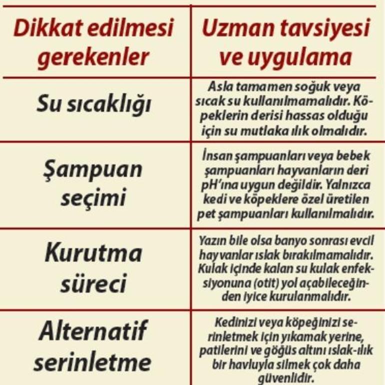 Yaz sıcaklarında patili dostlarınızı sık yıkamayın