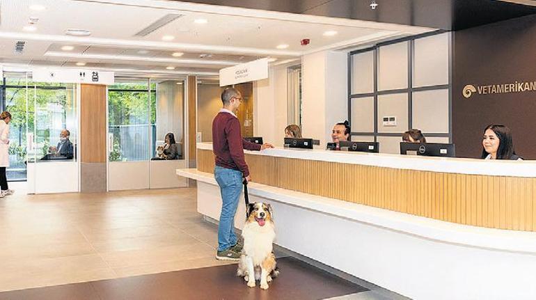 Köpeklerde burun tümörlerine radyoterapi umudu