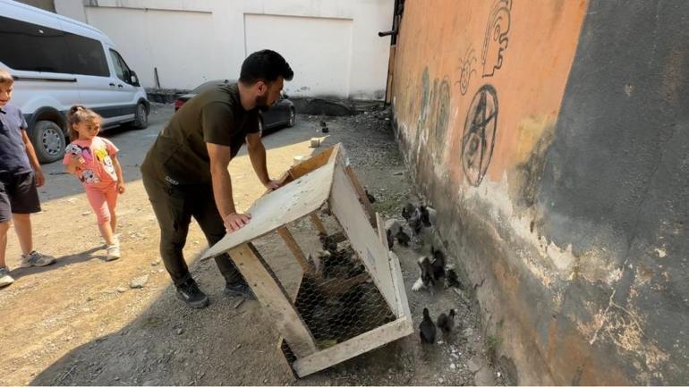 Bir belgesel izledi, hayatı değişti Oto yıkamacı içinde kuluçka makinesi