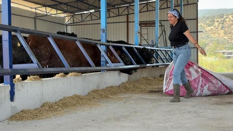 Kadın girişimci Brezilyadan getirdiği 35 gebe angusla üretimi artırdı
