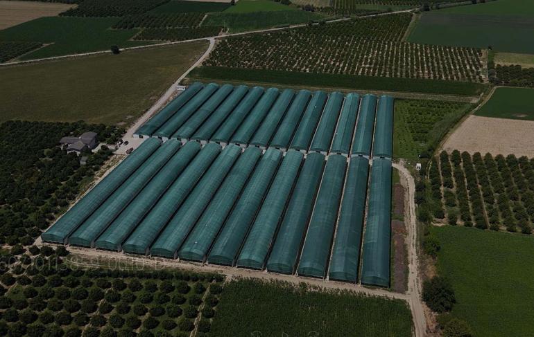 Avrupa sıraya girdi Egede ezber bozan üretim: Sadece 4 saat yetiyor