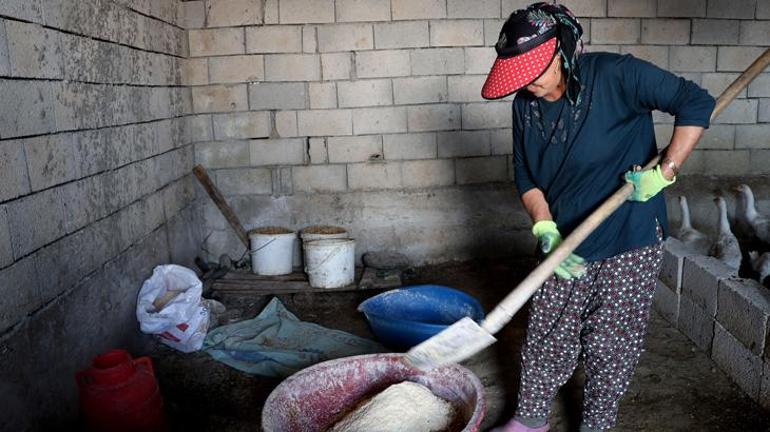 4 kazla başladı, şimdi yılda 800 yavru elde ediyor
