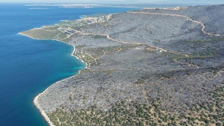 Muğlada orman yangını: Alevler lüks villa ve otellerin bulunduğu alana yaklaştı