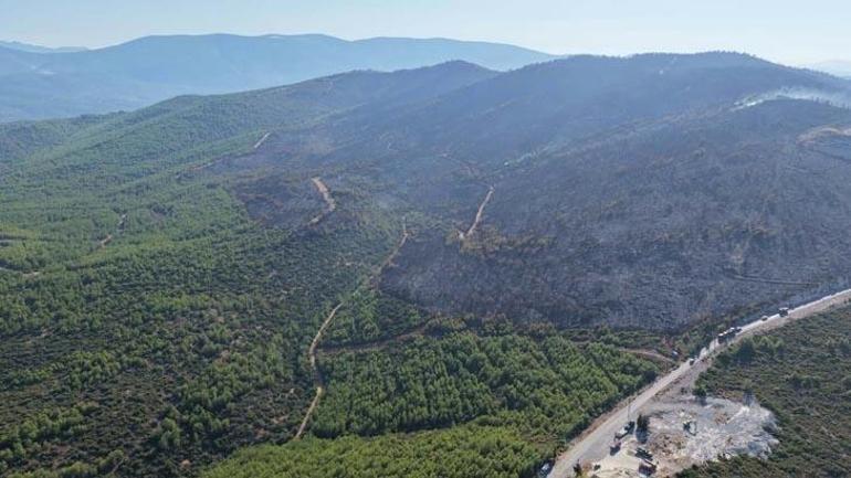 Muğlada orman yangını: Alevler lüks villa ve otellerin bulunduğu alana yaklaştı