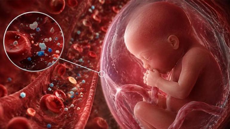 Doğmamış çocukların kanında bile mikroplastik var