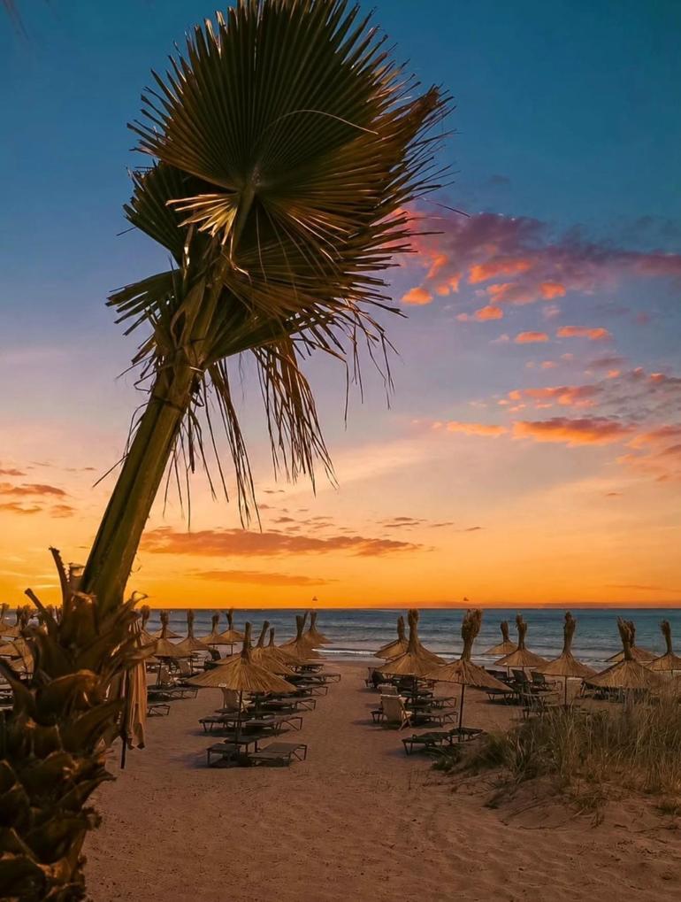 Bilginin Toprakla Buluştuğu Yer: Copa Beach