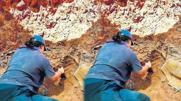 Fosiller geçmişe ışık tutuyor