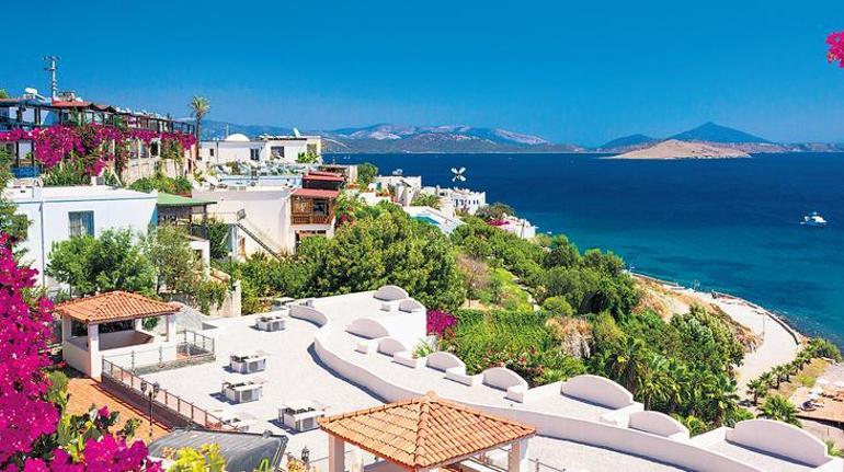 Mavi sürgünün yeşil mirası: Botanikçi Halikarnas Balıkçısı