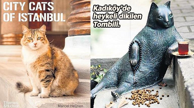 KedİstanbulDa bir gün