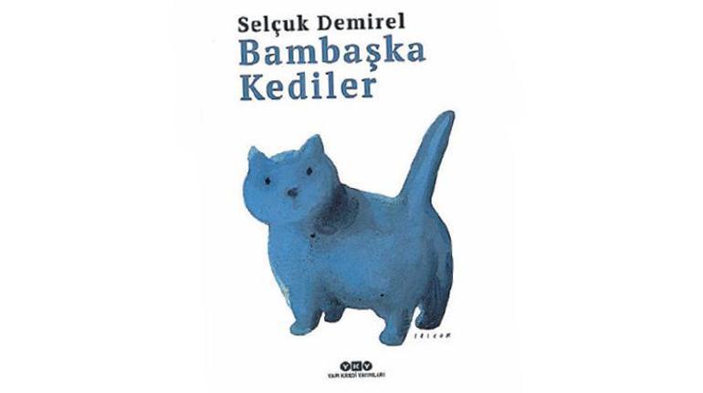 KedİstanbulDa bir gün
