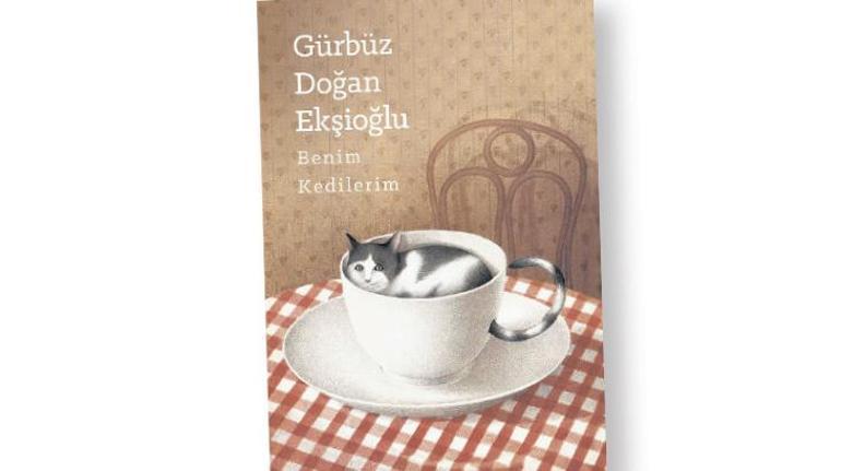 KedİstanbulDa bir gün