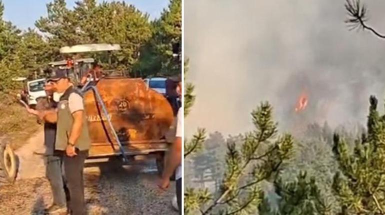 Bolu ve Malatyadaki orman yangınları kontrol altına alındı