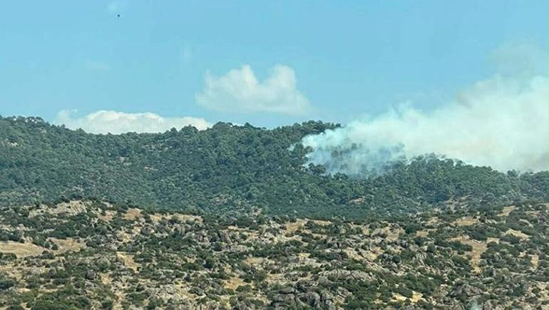 Balıkesir, Bilecik ve Aydın’da orman yangını alarmı Havadan ve karadan müdahale ile kontrol altına alındı