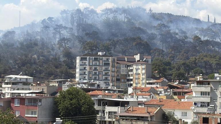 Balıkesir, Bilecik ve Aydın’da orman yangını alarmı Havadan ve karadan müdahale ile kontrol altına alındı