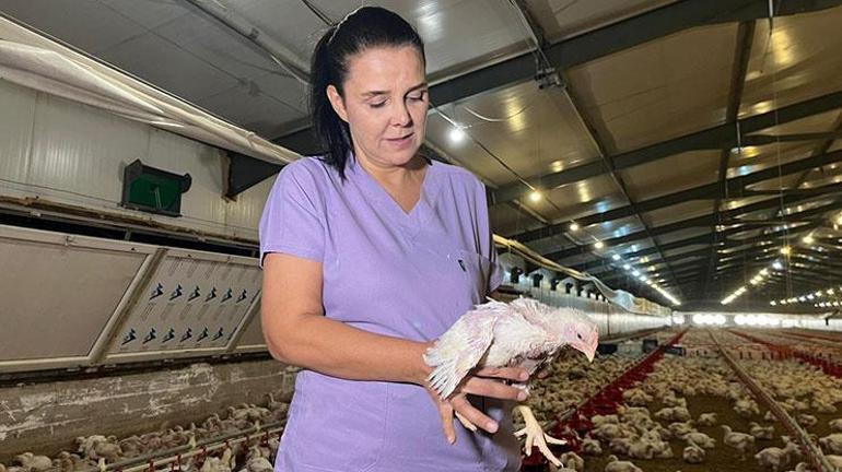 Memuriyeti bıraktı, eşinin mirasını büyüttü