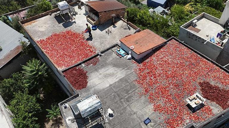 Hatayda damlar kırmızıya büründü Kilosu 300 TLden satılıyor