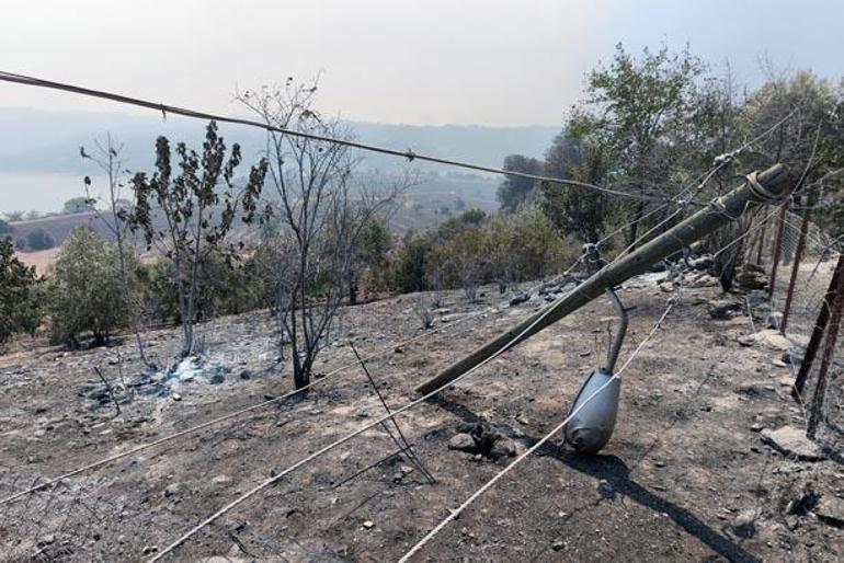Kozan’da başlayıp, 2 ilçeye daha sıçrayan orman yangınında 3’üncü gün