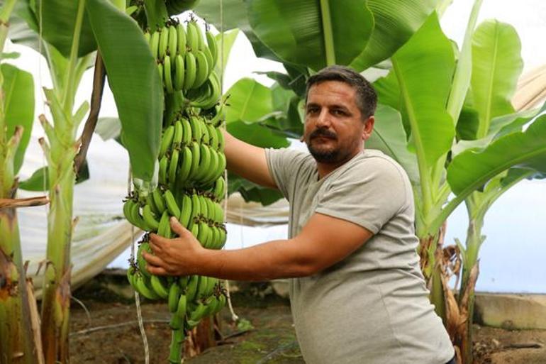 Tarladan sofraya fiyat uçurumu 30 TL’lik domates markette 100 TL’ye kadar çıkıyor