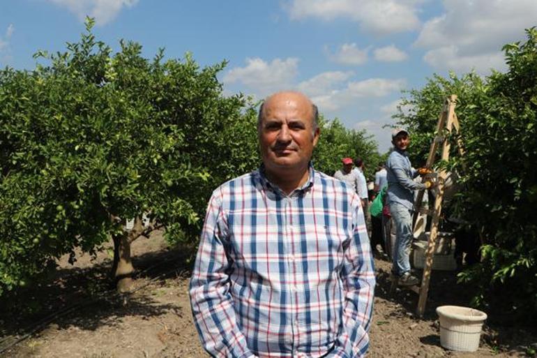 Tarlada 6-7 TL, markette 60-70 TL Tam 10 kat fiyat farkının nedenini açıkladı