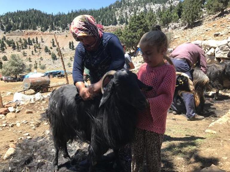Geçmişte para ediyordu, şimdi çöpe gidiyor Yörüklerin keçi kılı geleneğinde dikkat çeken değişim