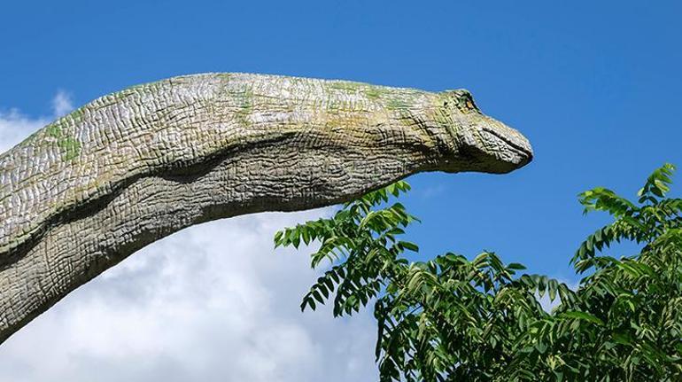 Dinozor yaşında, Hiroşimadan sağ kurtuldu Dünya tarihinin en eski tanığı tehlike altında