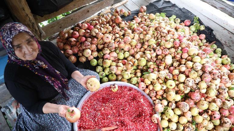 80 yaşında gelir kapısı oldu Kilosunu 750 liradan satıyor: Hiç makine kullanmıyor