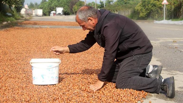 Çürüme sonrası üreticiler zorda Fındık göçü başladı