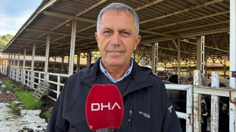 4 büyükbaşla başladılar: 5 yılda 40 buzağı, sıfır kayıp