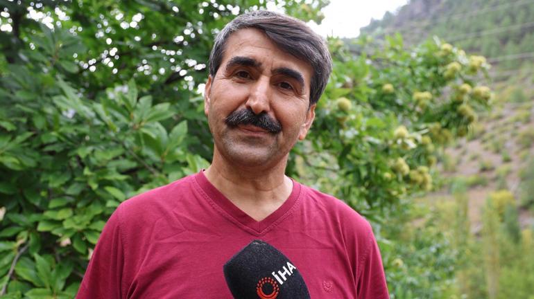 Adanada 1200 rakımda yetiştirdi Şimdi diğer çiftçiler de gözünü bu ürüne çevirdi