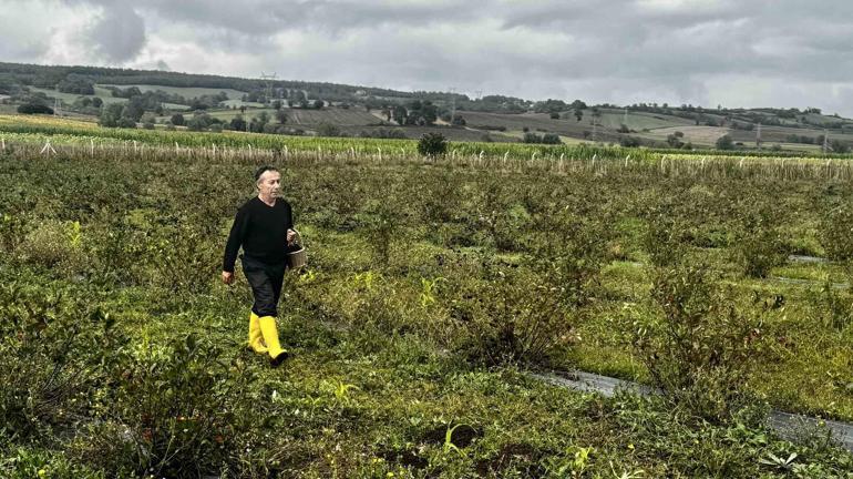 Fransayı terk etti Türkiyede kurduğu bahçe meyvesini verdi: Çok araştırdım