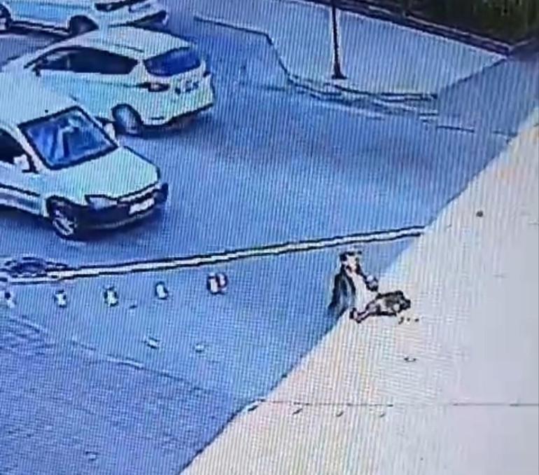 Akan trafikte akılalmaz tuzak! Direksiyona geçip arabayı çaldı