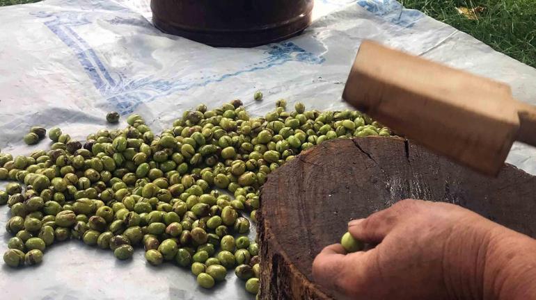 10dan fazla çeşidi var Kilosu 400 TL: Her yerden talep var, çok mutluyuz