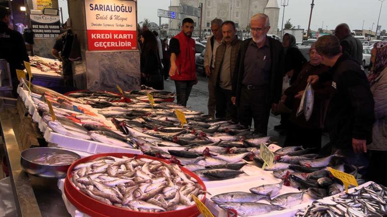 Palamut gidiyor, gözler hamside: En son 23 yıl önce böyle bolluk vardı