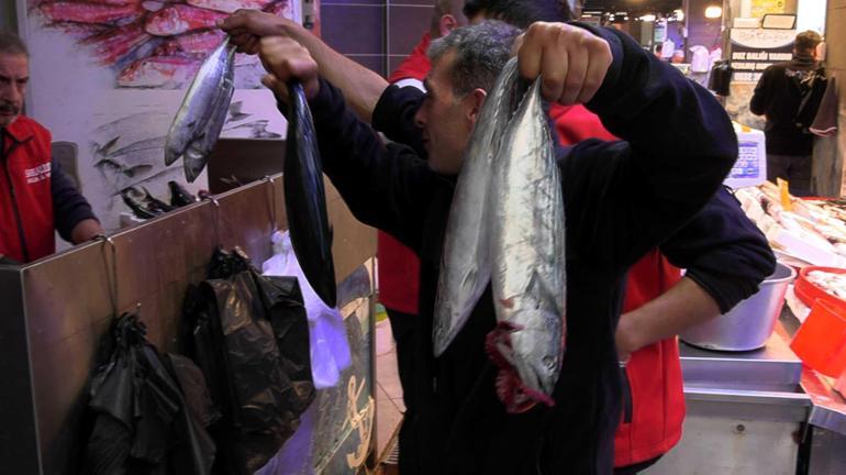 Palamut gidiyor, gözler hamside: En son 23 yıl önce böyle bolluk vardı