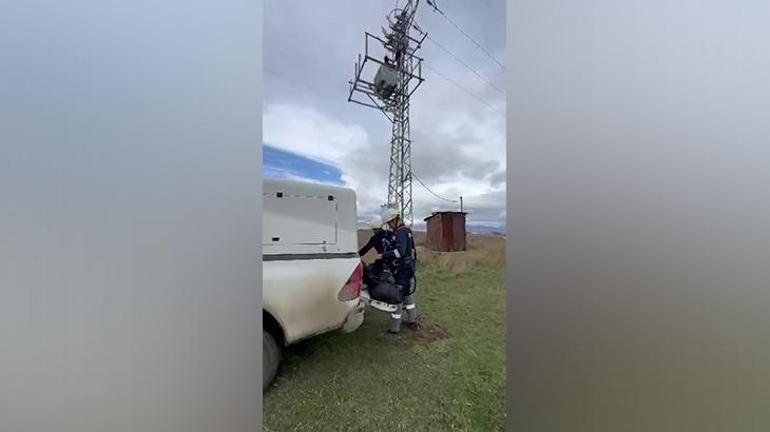 Elektrik direğinde asılı kaldı Görenler ekiplere haber verdi: Akım kesilerek indirildi