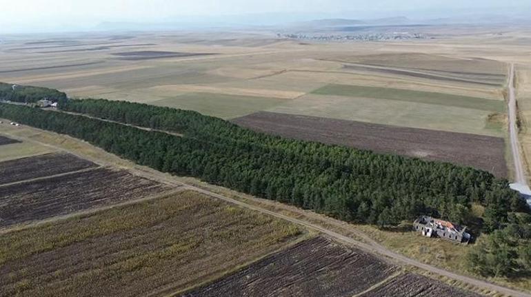 55 yıllık hikaye Her şey yoğun kar yağışıyla başladı