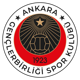 Gençlerbirliği Haberleri