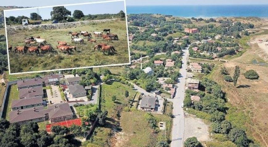 Türkiye’nin Hollywood’u olacak