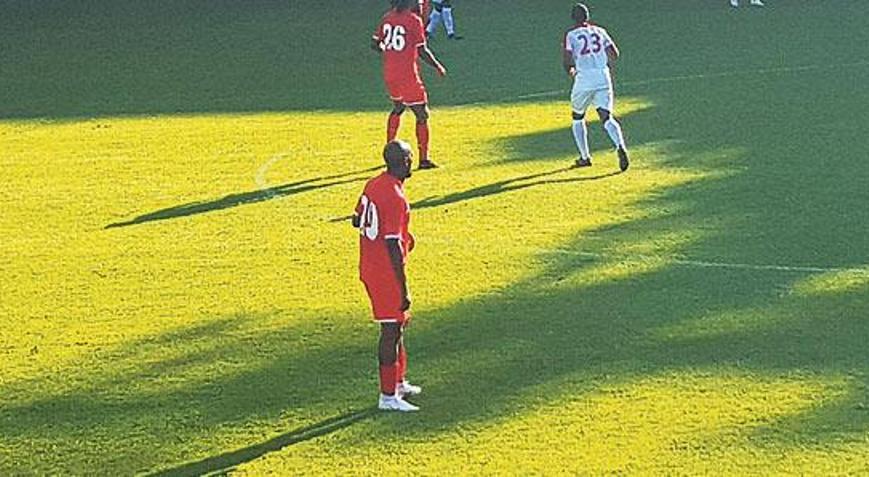 Cavanda sahaya çıktı