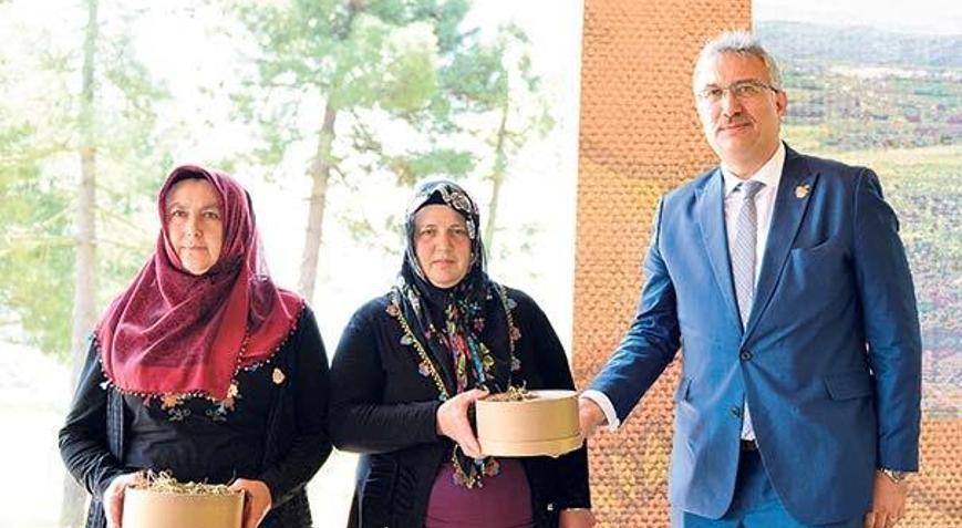 Osmanlı çileğine koruma