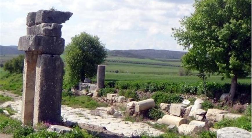 Antik kentin ortasına buğday ektiler Antik kentin ortasına buğday ektiler