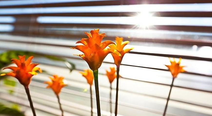 Sabah güneşi bu hastalığa iyi geliyor