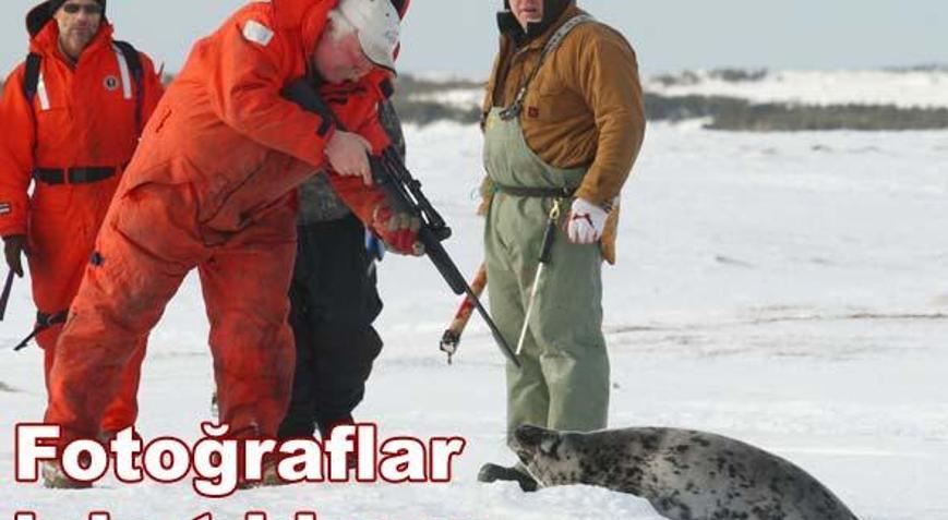 Katliam başladı... Katliam başladı...