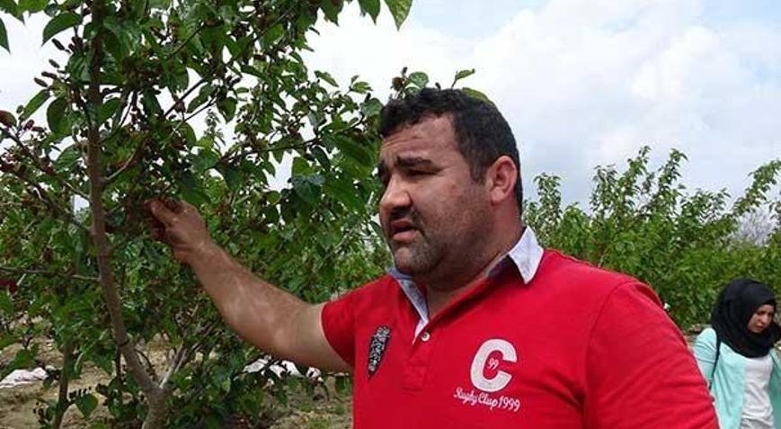 Fidanlara pekmez verdi, sonuç şaşırttı