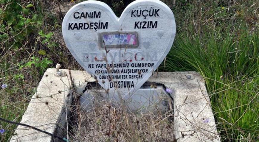 Türkiye’nin tek hayvan mezarlığı - Güncel Haberler Milliyet