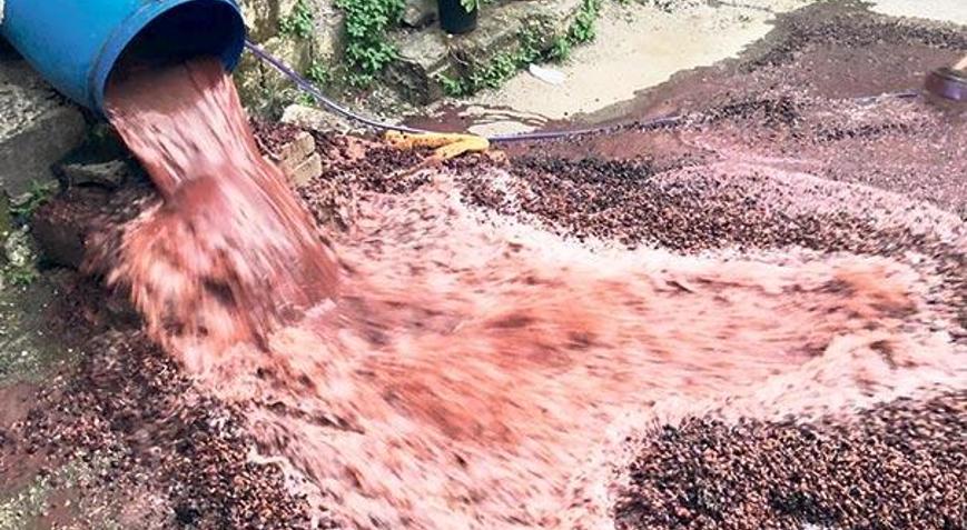 Sahte rakı baskını - Son Dakika Haberler Milliyet
