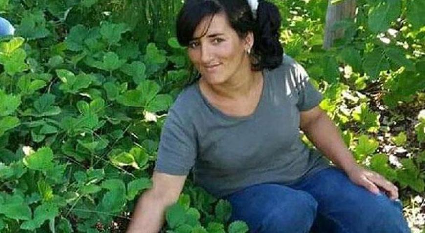 Silaj makinesine kaptırdığı kolları koptu Silaj makinesine kaptırdığı kolları koptu