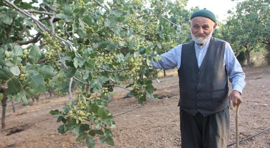 Babasının bir sözünü dinledi, her yıl bir kilo altın alıyor